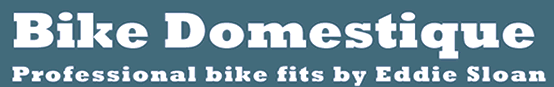 Bike Domestique